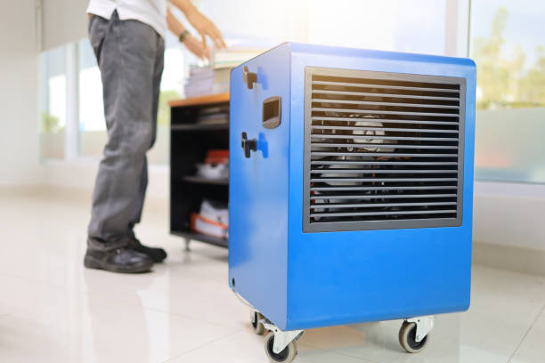 Best Forensic Mold Investigation  in Mattawan, MI