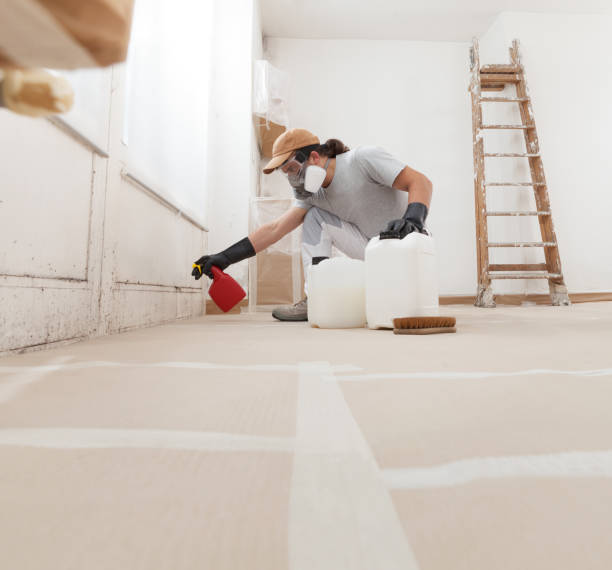 Best Mold Prevention Services  in Mattawan, MI